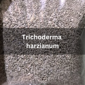 Root Crack (Trichoderma harzianum 50g)