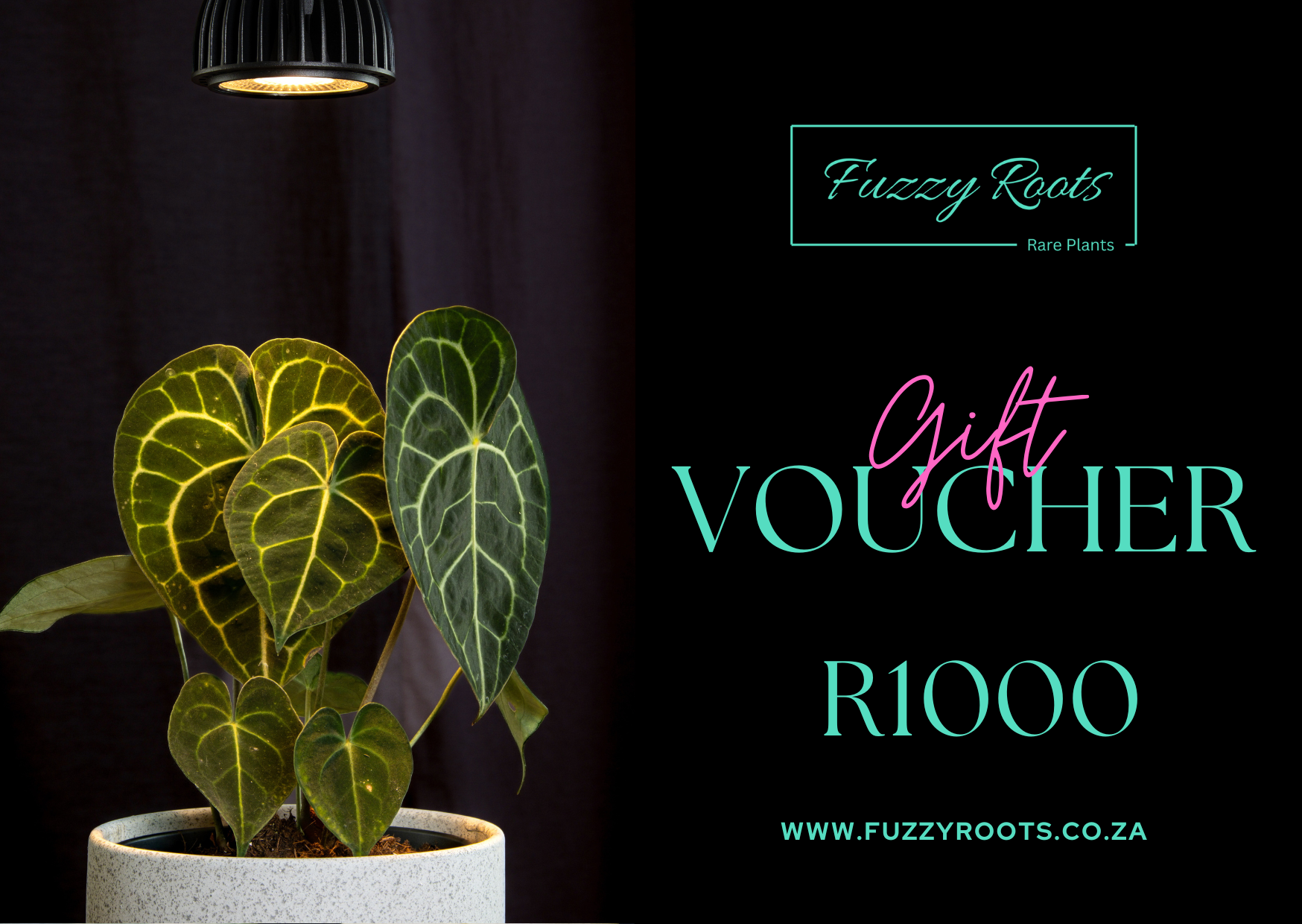 Fuzzy Roots Gift Voucher - Image 4