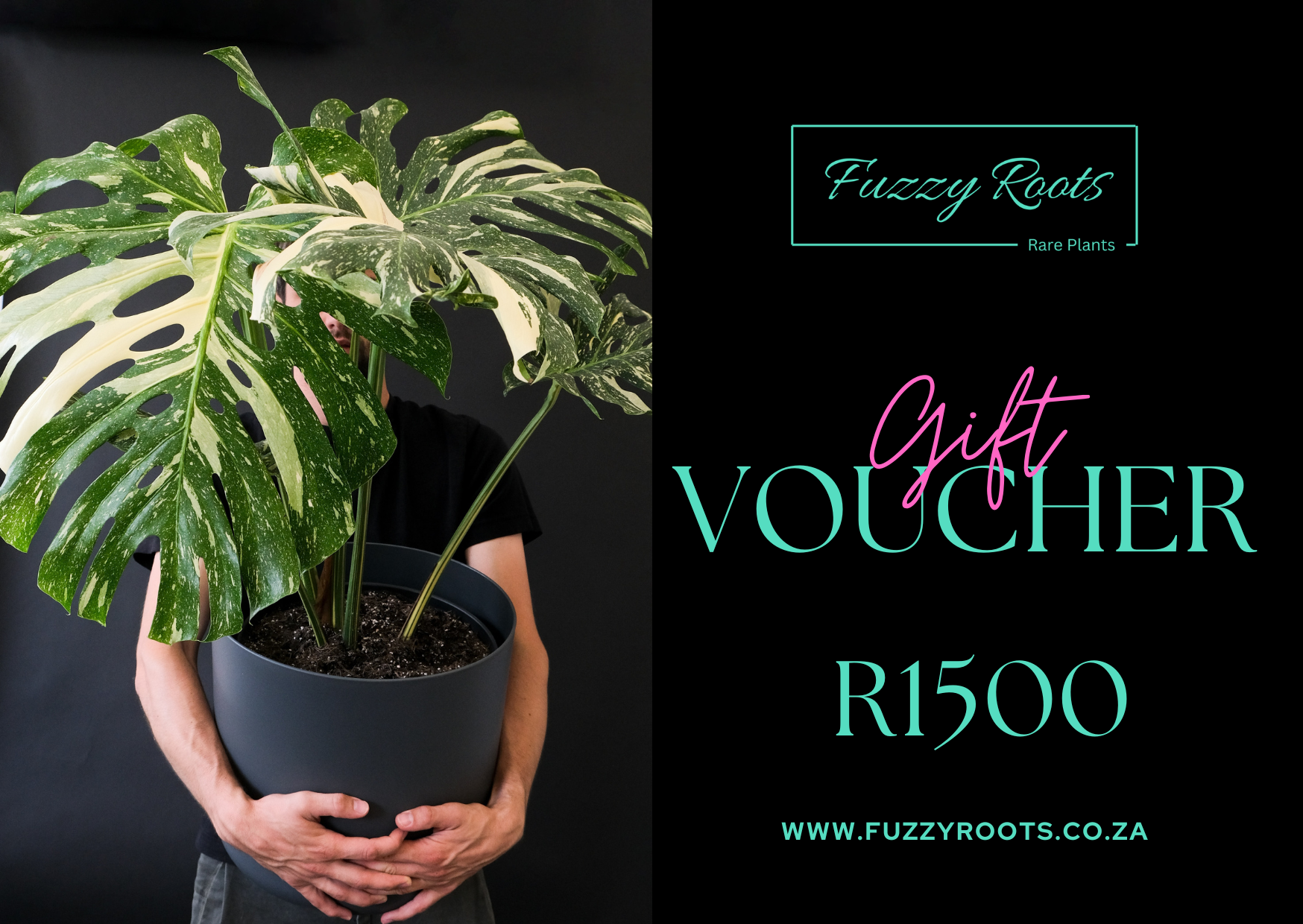 Fuzzy Roots Gift Voucher - Image 3