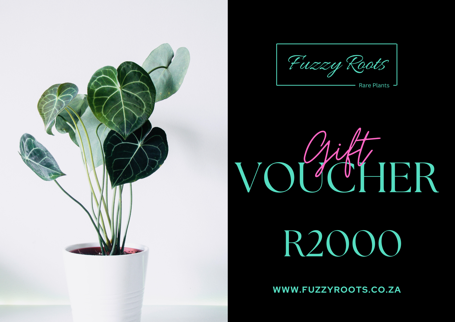 Fuzzy Roots Gift Voucher - Image 2