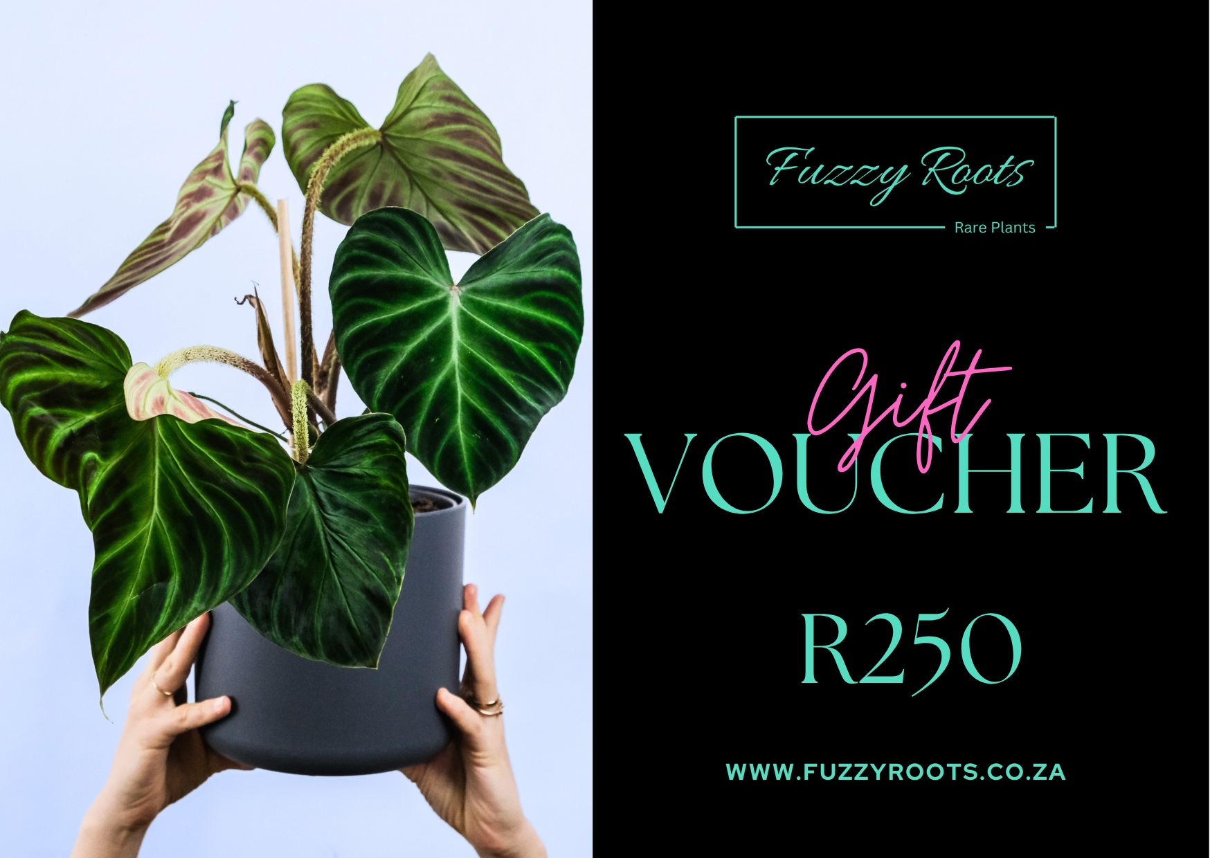 Fuzzy Roots Gift Voucher