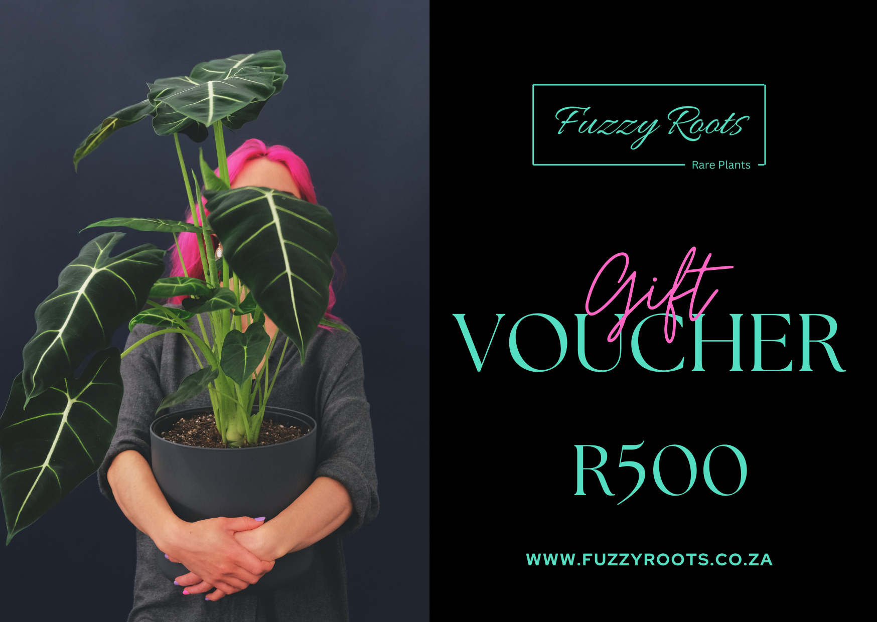 Fuzzy Roots Gift Voucher - Image 5