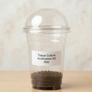 Tissue Culture Acclimation Kit