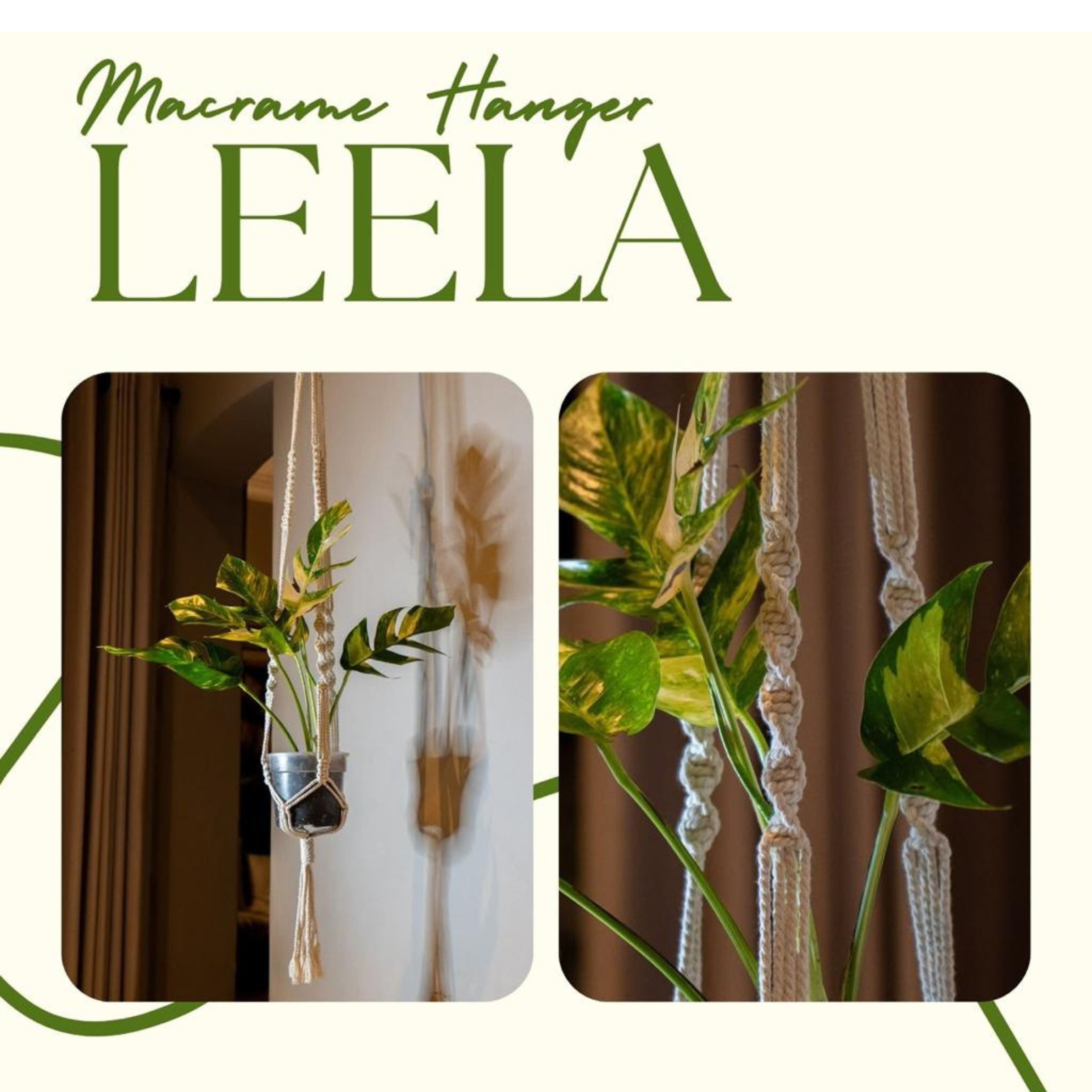 Plant Hanger (Leela)