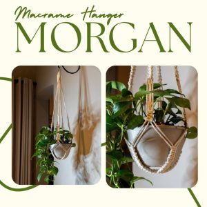 Plant Hanger (Morgan)