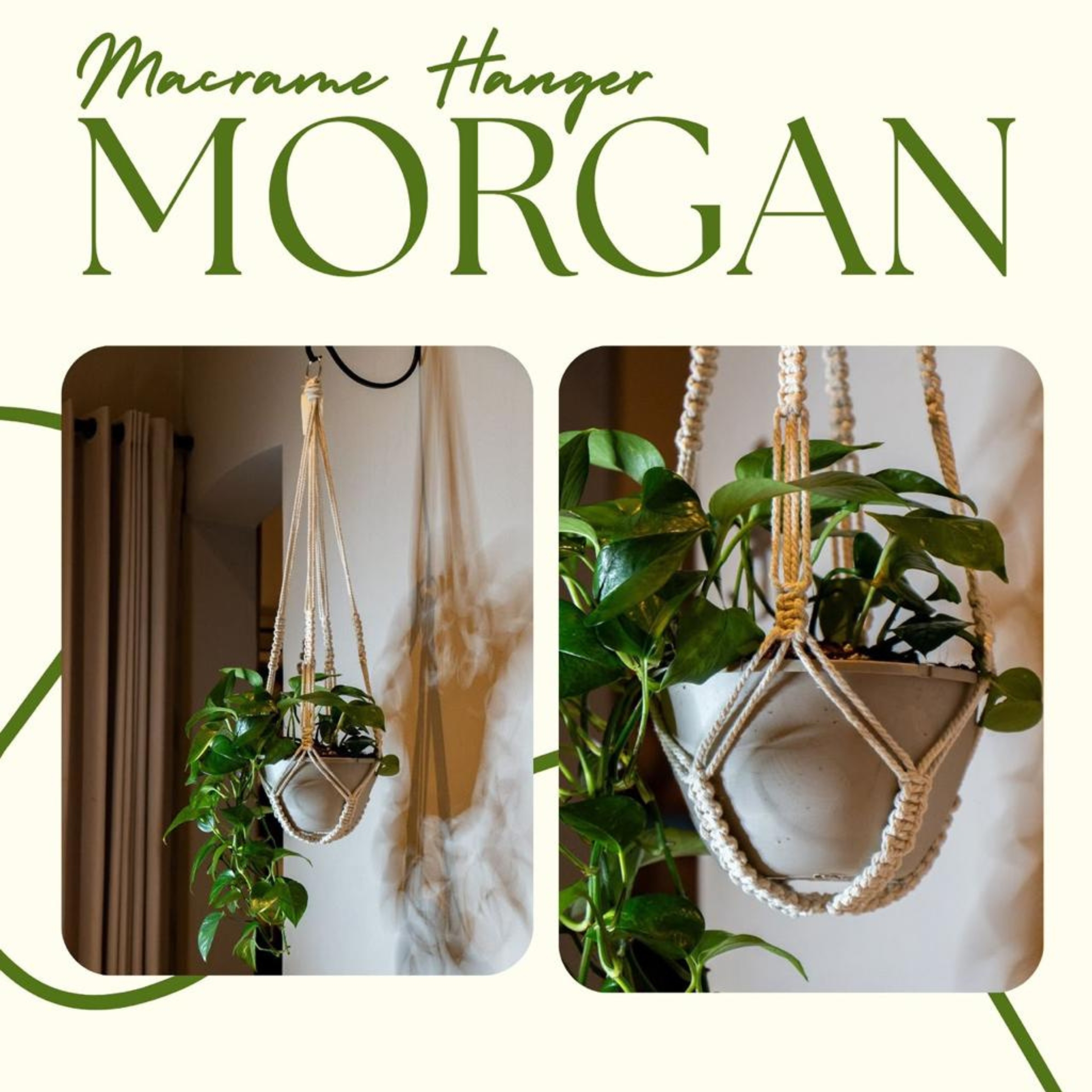 Plant Hanger (Morgan)