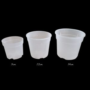 Clear Pots (Shrub)