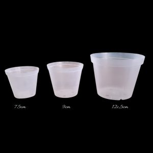 Clear Pots (V Shaped)