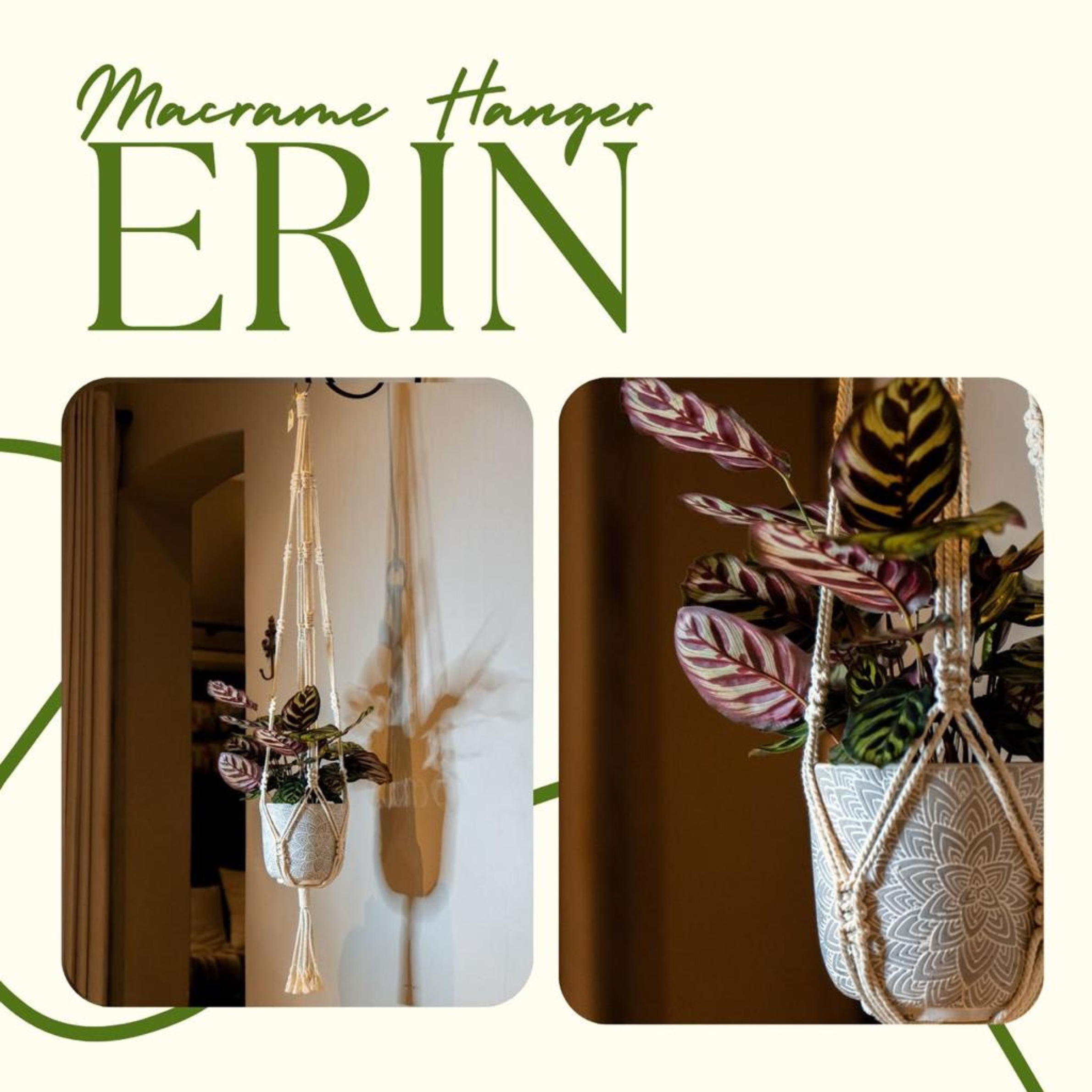 Plant Hanger (Erin)
