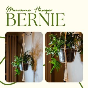 Plant Hanger (Bernie)