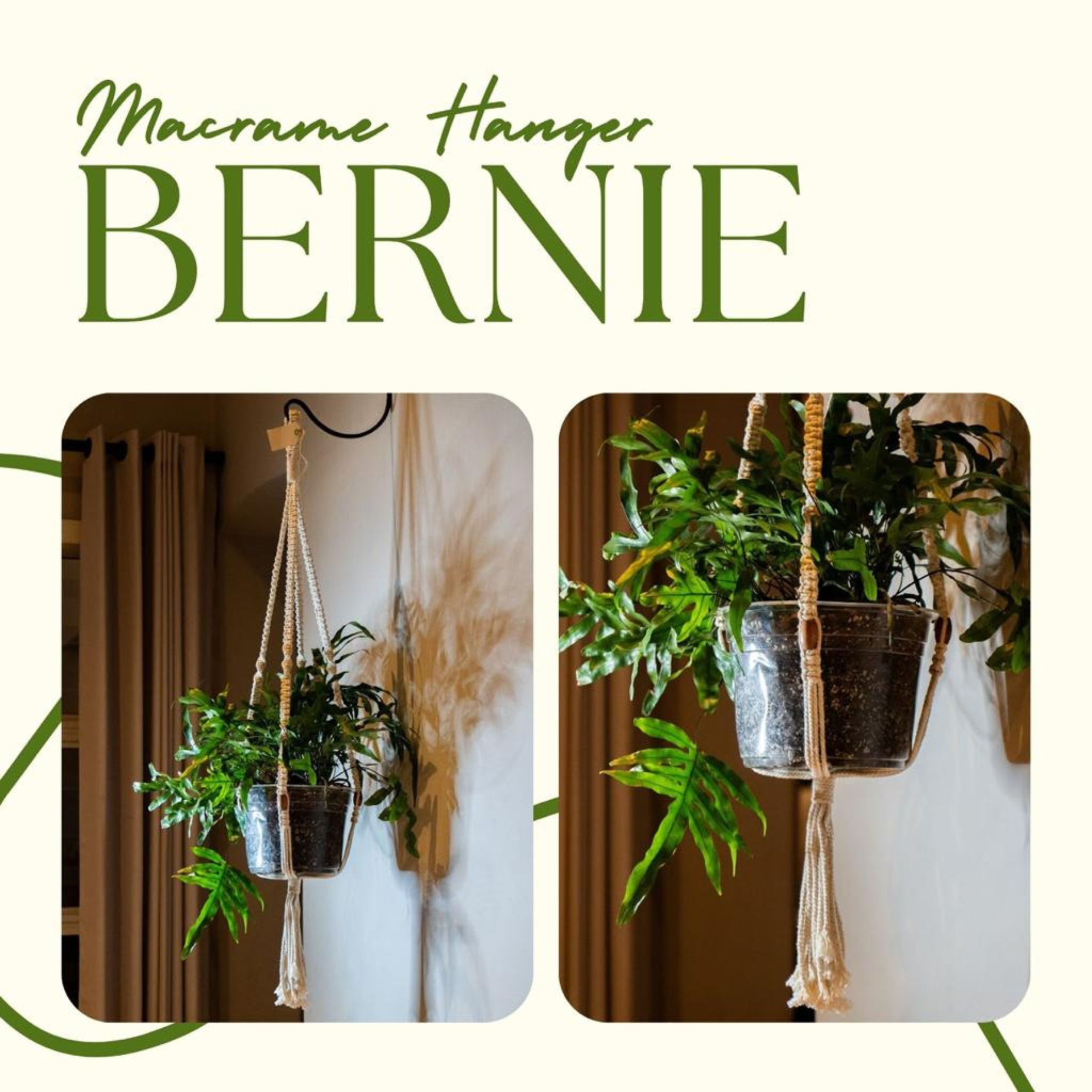 Plant Hanger (Bernie)