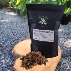 Sphagnum Moss – 2 Litre