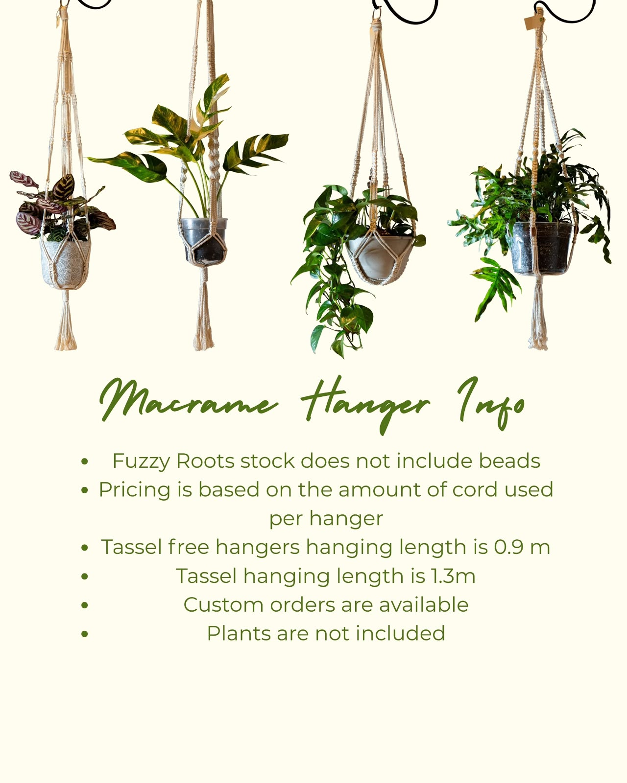 Plant Hanger (Erin) - Image 2